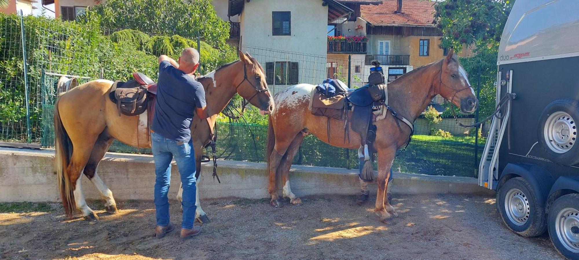 Romallo Horse House Bed & Breakfast エクステリア 写真