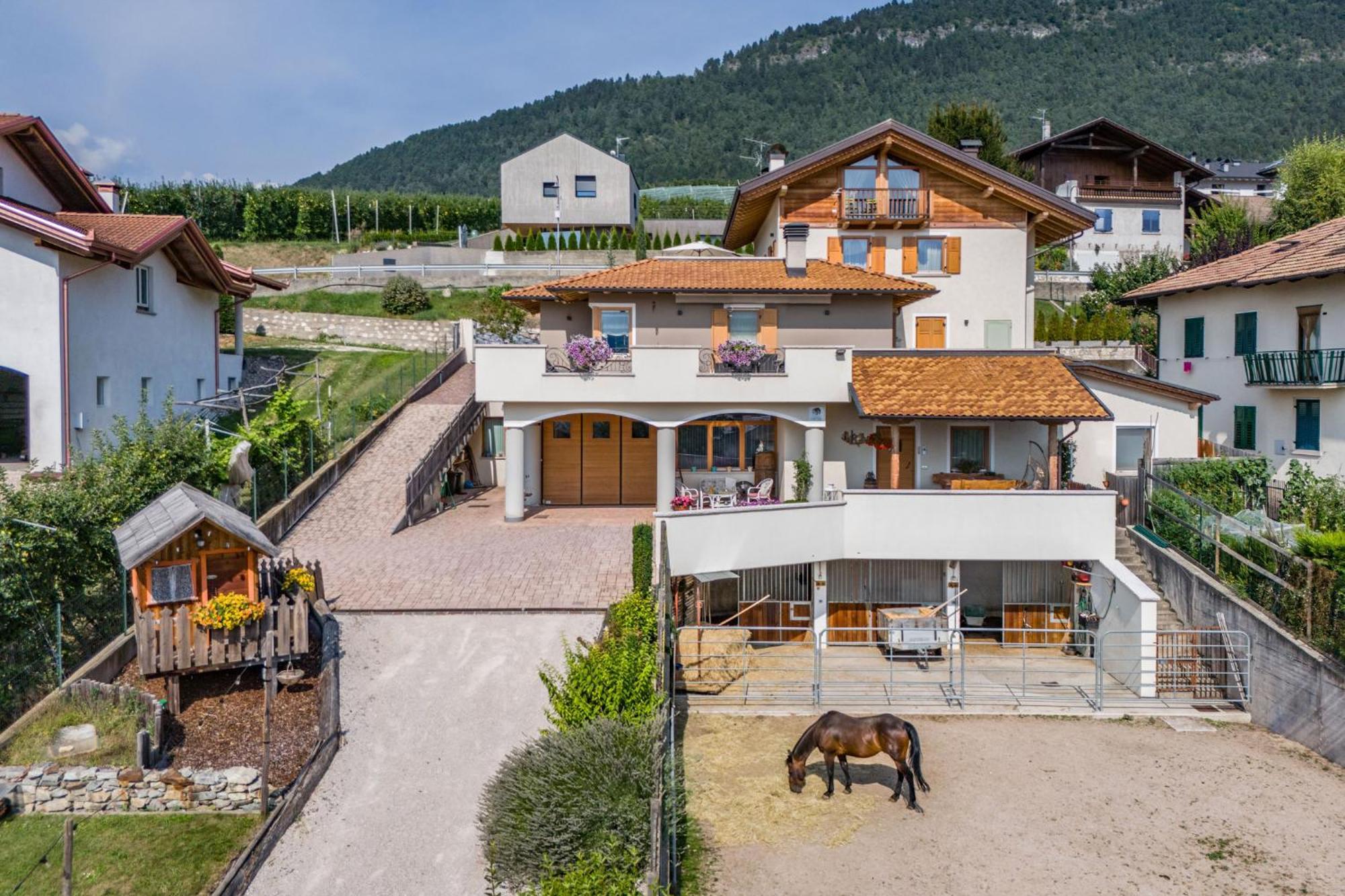 Romallo Horse House Bed & Breakfast エクステリア 写真